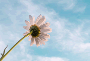 蜂鸟影院读写工具:围绕把热度机制写成流程做我用段落分层法讲